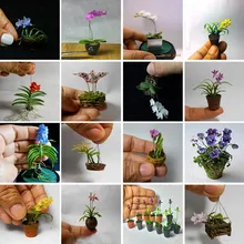 100pcs / bag Rare butterfly orchid flower seeds, a variety of styles of bonsai flower seeds. Plant family garden