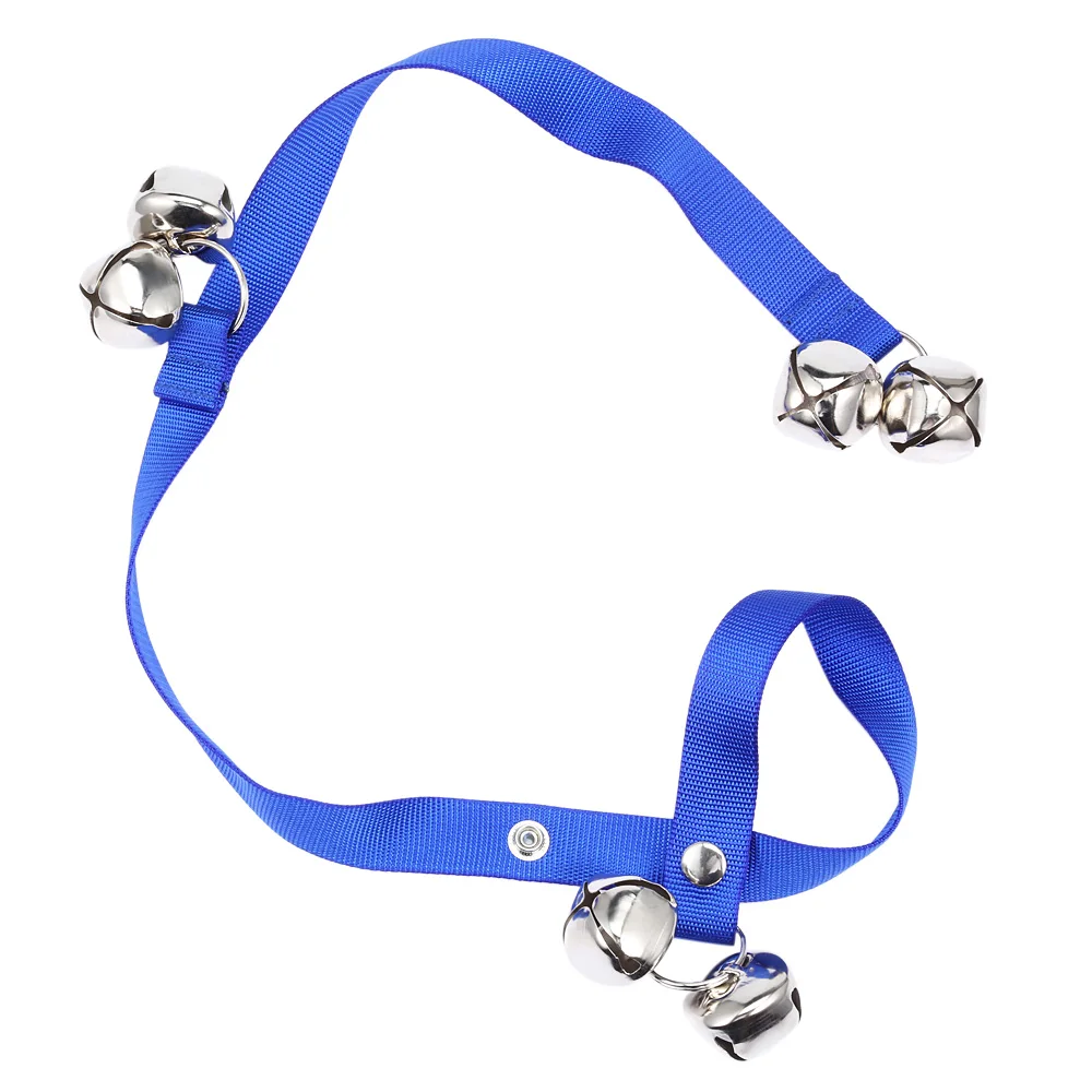 Can You Use A Dog Collar On A Cat Can You Use A Dog Collar On A Cat