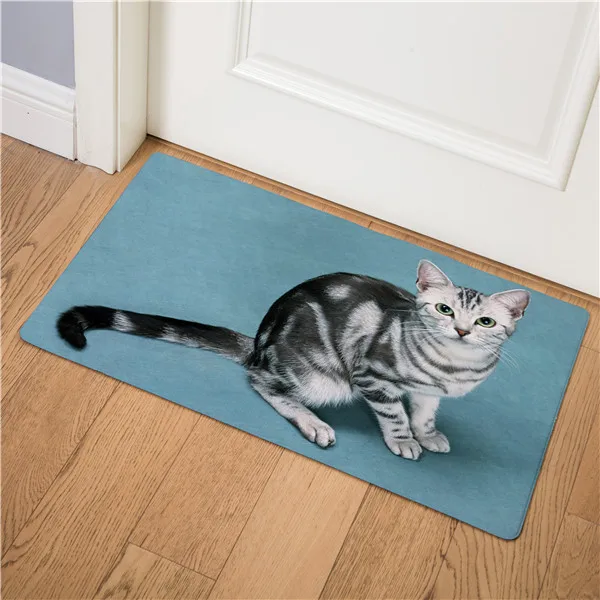 Милый животный Кот передняя дверь коврик для кухни гостиная прихожая вход в ванную комнату Придверный коврик нескользящий коврик 46x75 см - Цвет: 10