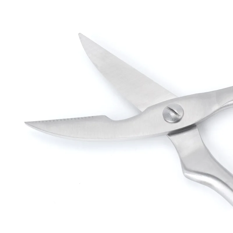 Buy Multi function Stainless Steel Bone Scissors