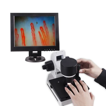 

12 inches Portable nailfold capillary microcirculation microscopes for sale Free Shipping