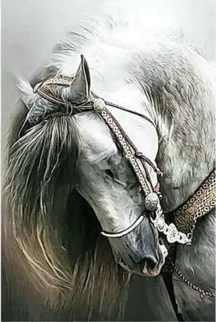 Полная Алмазная вышивка 5D, алмазная картина «Снежная лошадь», алмазная вышивка крестиком, стразы JK - Цвет: 19