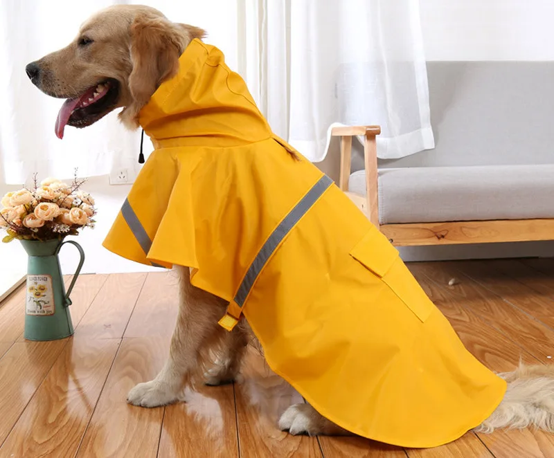 Labrador Retriever waterproof coat