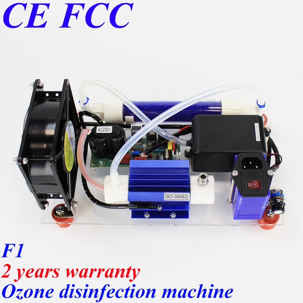 

To Latvia Estonia Pinuslongaeva 10g/h F1 simple ozone machine fruits and vegetable clean ozone generator for kitchen
