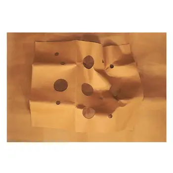 

Cat Playing Mat Training Pet Activity Play Mats Collapsible Pets Rug Scratch Resistant Toys Bite Pad