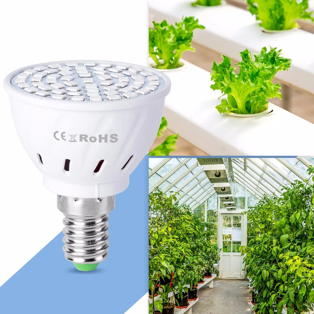 

E27 Grow Light LED Full Spectrum E14 Grow Lamp Plant Bulb GU10 LED Bulbs Seedling MR16 Indoor 48 60 80leds Light For Plants B22