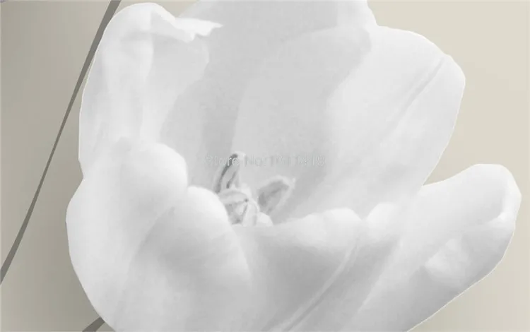 BS762 05