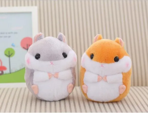 hamster