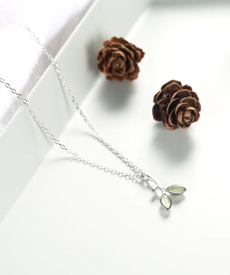 5301469492_823318017