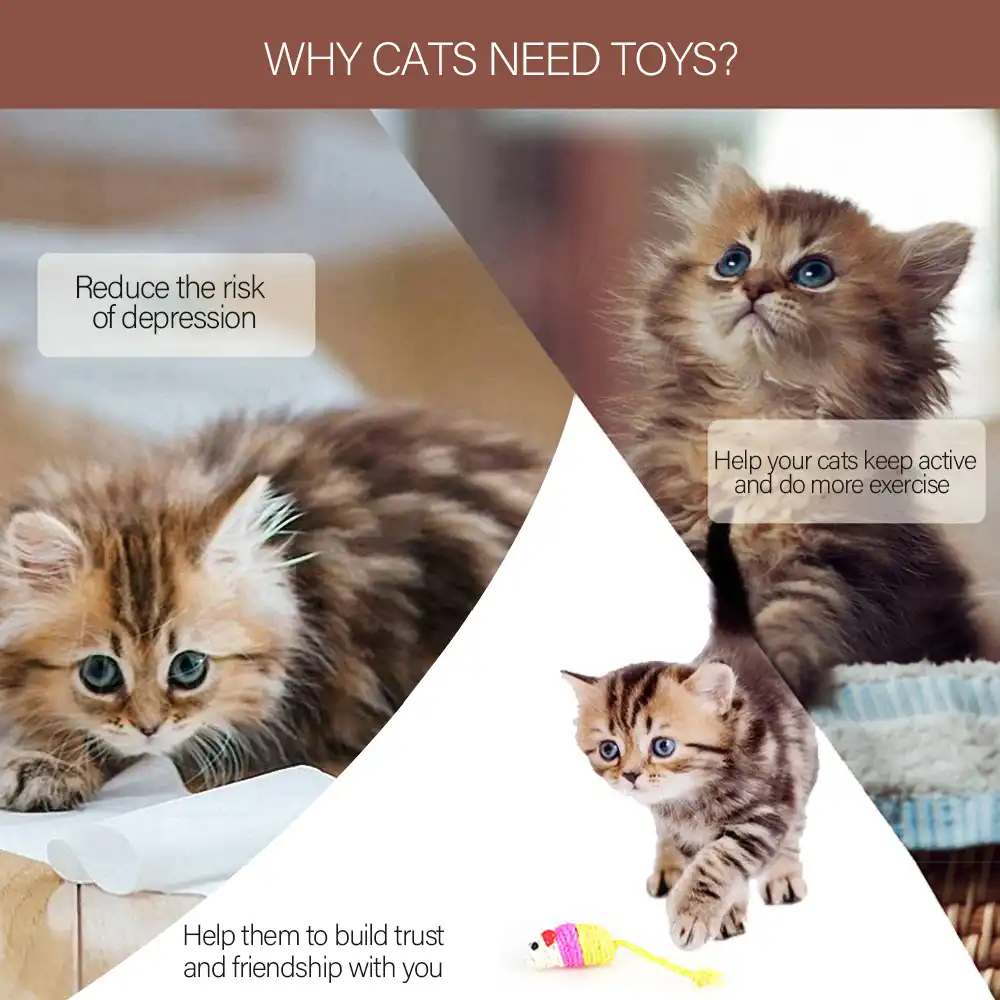 ps Set Toys Variety Pack Cats Funny Mouse Bell Feather Catnip Sisal Balls Gift Value Feather Sets For Cat Pet Supplies Toy Set Cat Toys Aliexpress ps Set Toys Variety Pack Cats Funny Mouse Bell Feather Catnip Sisal Balls Gift Value Feather Sets For Cat Pet Supplies Toy Set Cat Toys Aliexpress