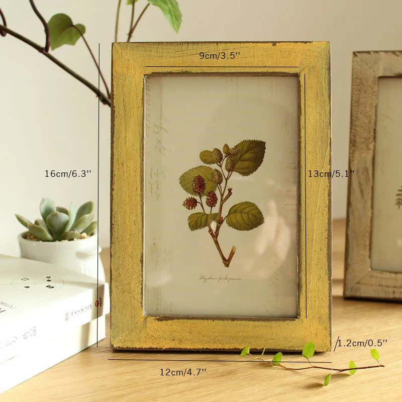 frame (16)