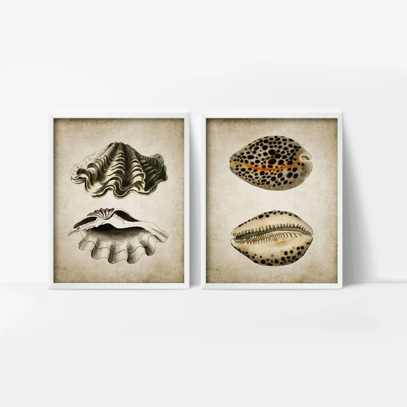 Retro-Seashell-Poster-Art-Print-Wall-Picture-Home-Decor-Vintage-Marine-Prints-Bathroom-Wall-Art-Canvas (4)