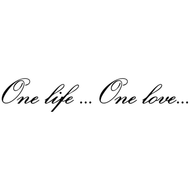 Виниловая наклейка для автомобиля 10 6 см * 58 one life... love... Забавные 3d наклейки и