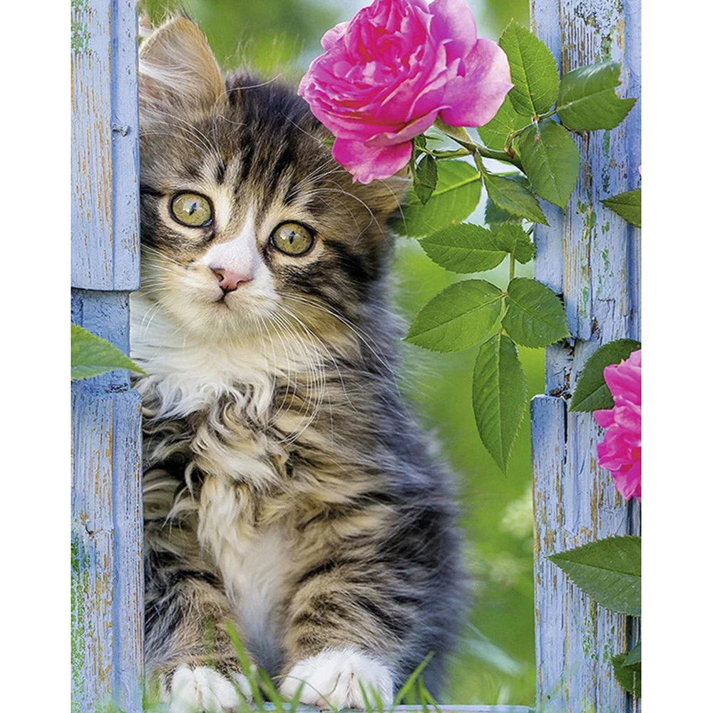 Котенок с розами