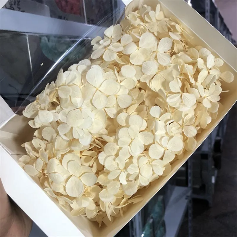 9boxes,Long Time Lasting Natural Fresh Preserved Flowers Dried Hydrangea Flower Head For IY Real Eternal Life Flowers Material