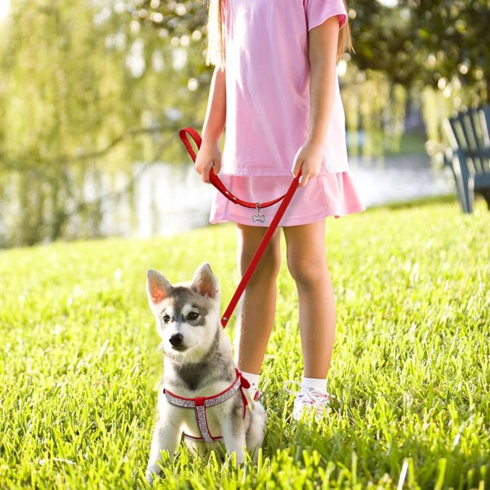 Pet Harness Leash Set Soft Suede Leather Dog Rhinestone Pendant For Small Medium Pets