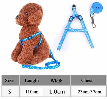 Nylon Small Dog Cat Collar and Leash 1 0cm Width Pet Harness Leads for Puppy