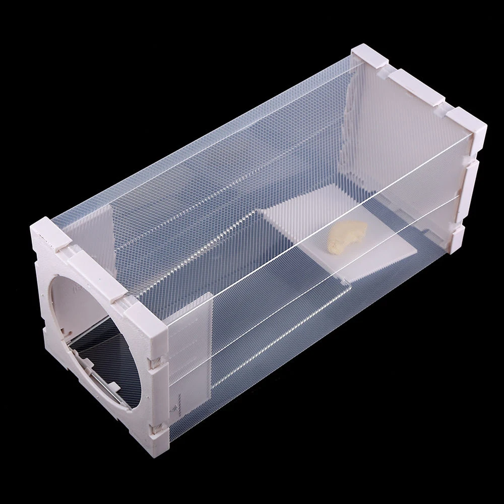 

Reusable Mouse Trap ABS Plastic Non-toxic Pest Repeller Fast Catch Rat Hamster Household Mouse Artifact Small Animal Live Cage