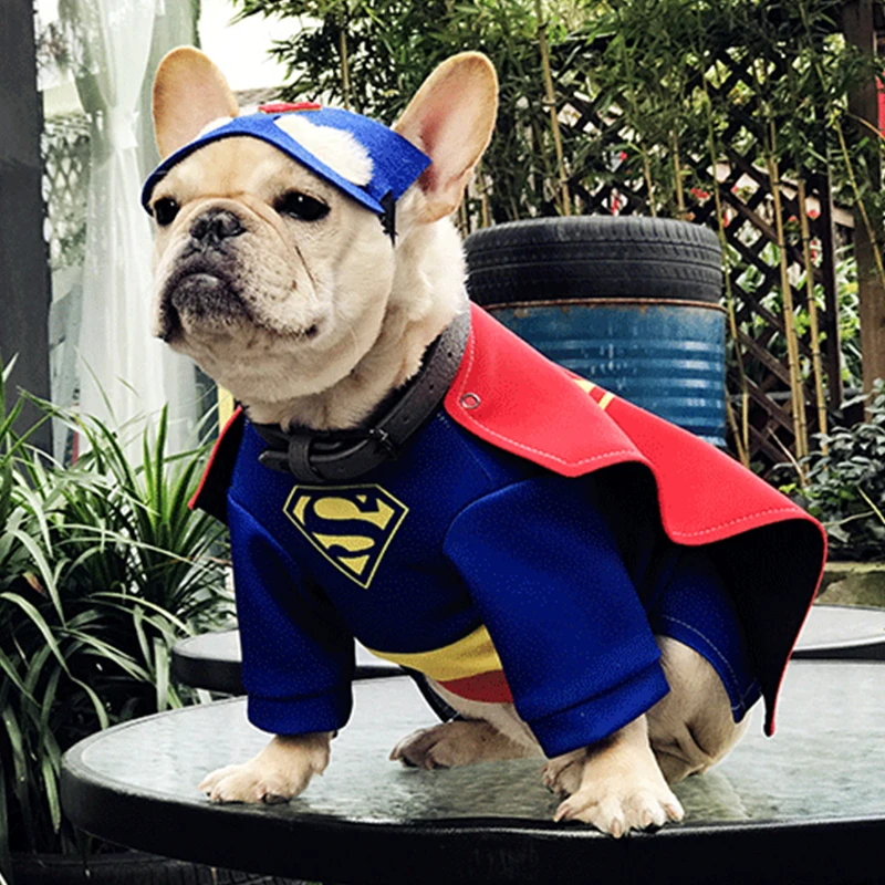 Tanie Śmieszne ubrania dla małych psów ubrania dla zwierząt superbohater buldog francuski mops przebranie na karnawał Puppy Party śliczne ubrania XS XL