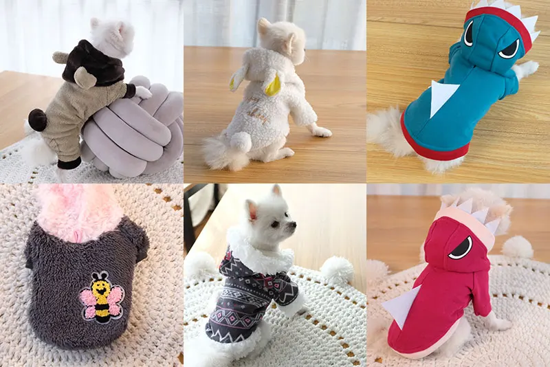 winter dog coat franse bulldog