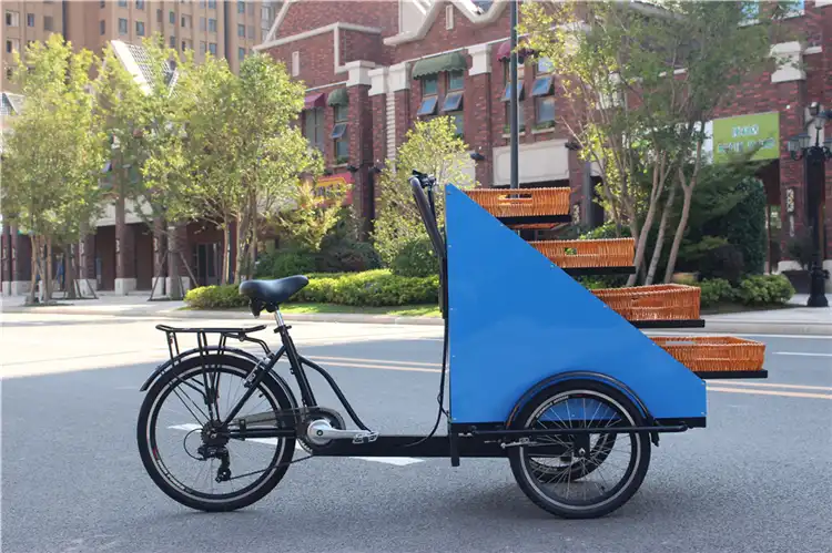 street bike trailer