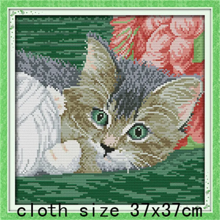 D516-06511  120X120___