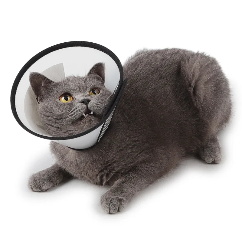 

Transparent Anti-bite Cat Dog Elizabeth Ring Beauty Cover Medicine Protection Ring Pet Supplies