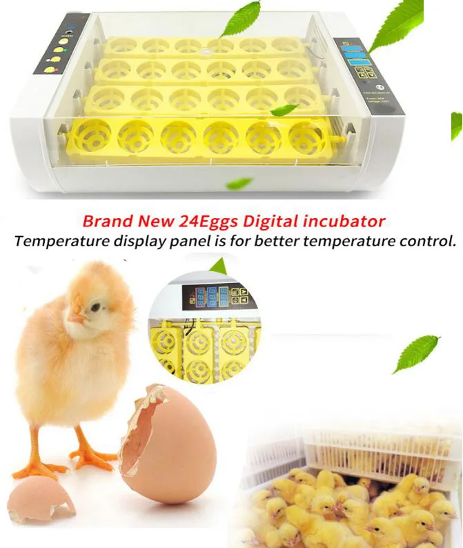 

Newest Best Farm Hatchery Machine 24 Egg Hatchers Cheap Price Chicken Automatic Egg Incubator China for Sale Quail Brooder