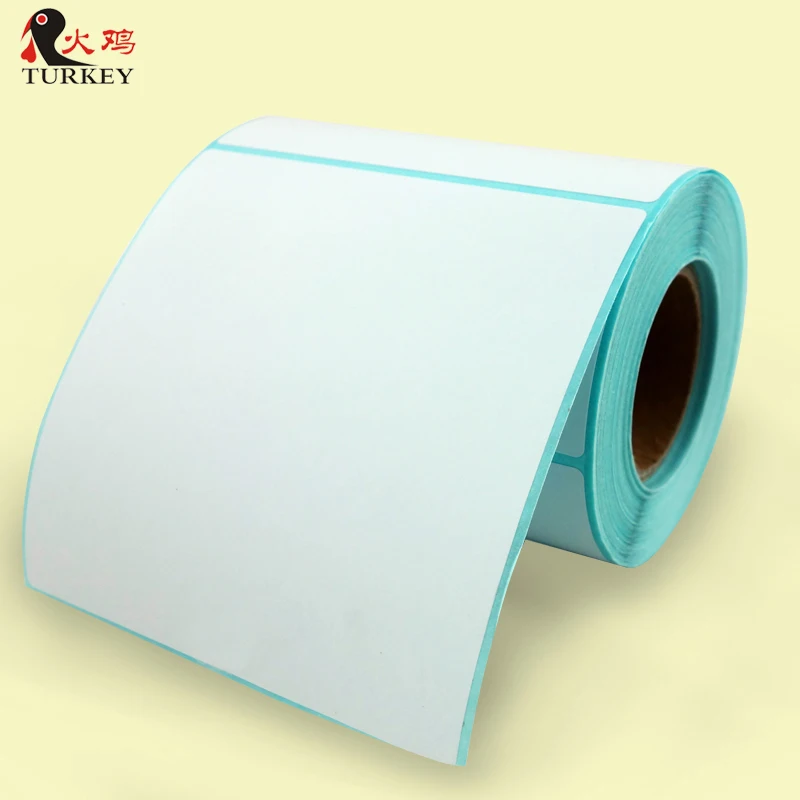 L LIKED 10 Rolls 4 x 6 Direct Blank Thermal Shipping Labels with 250 Labels//Roll Compatible Zebra 2844 ZP-450 ZP-500 ZP-505