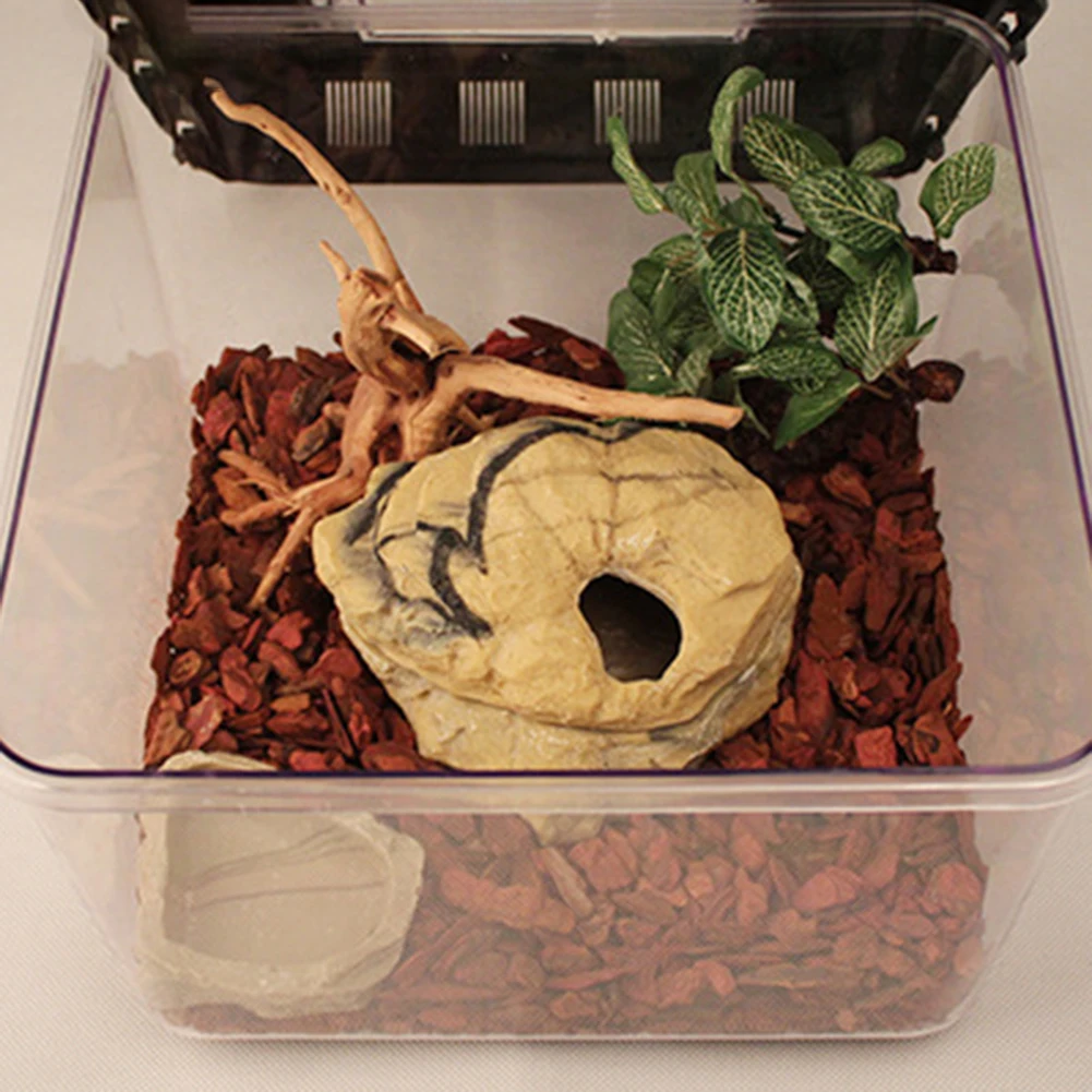 Террариум для рептилий разведение инкубационная коробка паук Коробка в виде лягушки ящерица, змея черепаха Танк цилиндр клетка аквариум для яиц инкубация