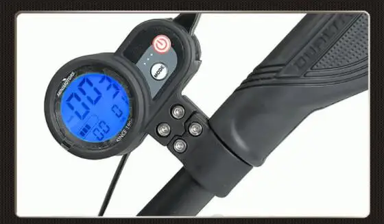 31