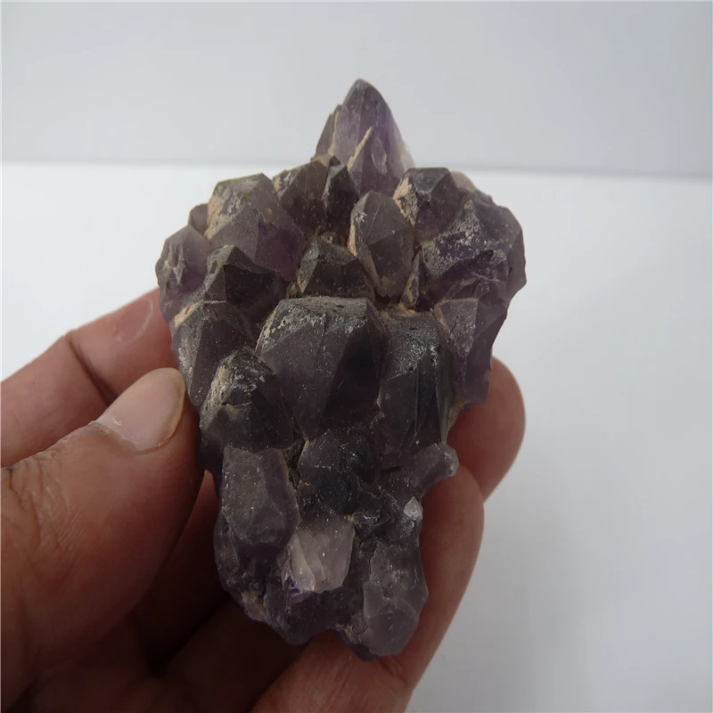 P1500458