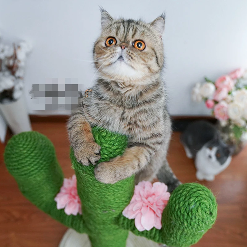 

[MPK Store] 10 Meter Sisal Rope of 5mm diameter, For Cat Tree, Cat Toy