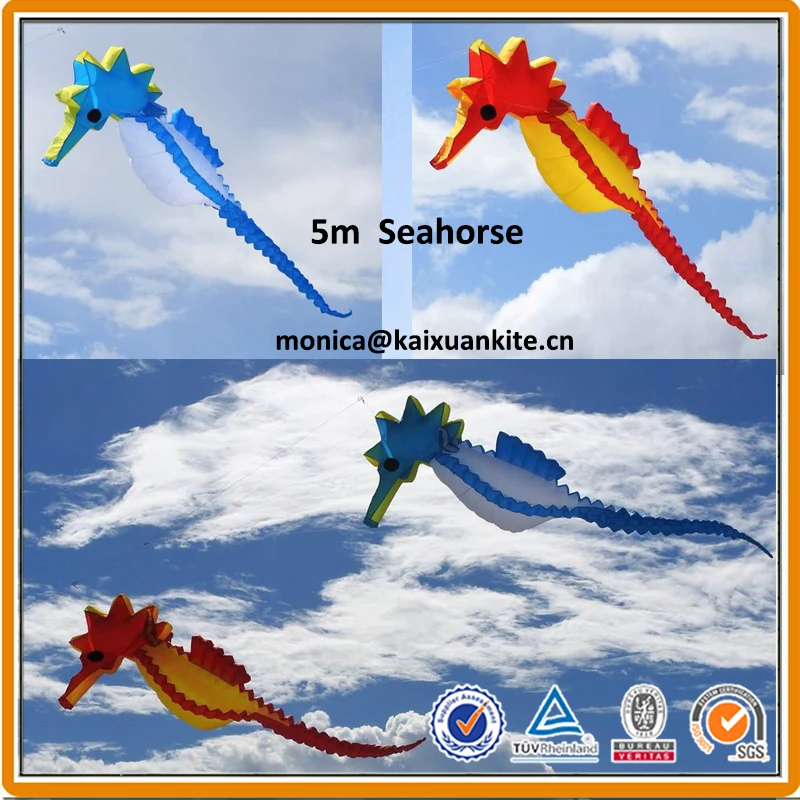 seahorse