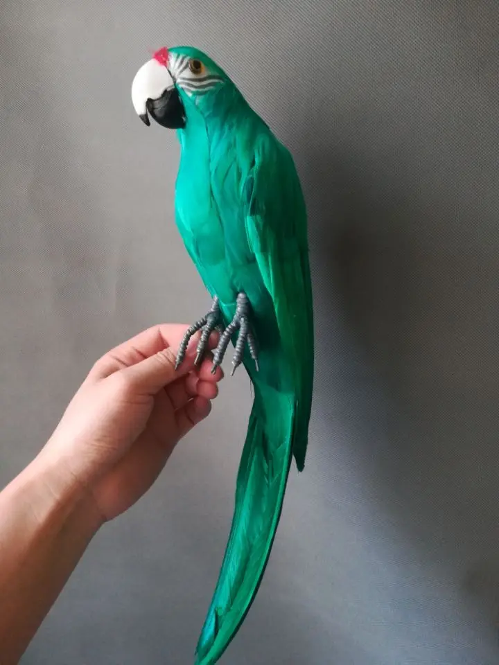 real life Bird green feathers parrot model want-to-open wings parrot 45cm decoration filming prop decoration toy gift h1414 train model roco 1 87 ho sbb fourth generation passenger car five section dark green electric toy train