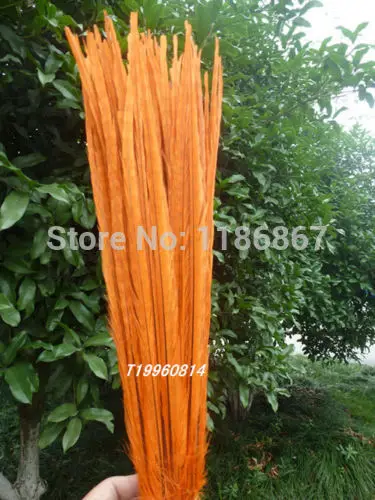 20pcs/lot ringneck pheasant tail feather 50-55cm 20-22&quot off orange dyed wedding decor | Дом и сад