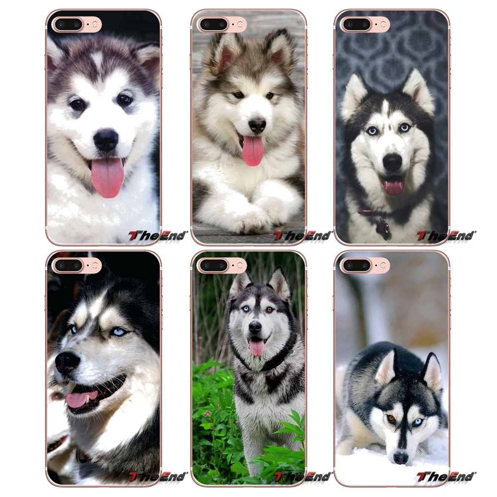 

For Huawei Honor 7X V10 6C V9 6A Play 9 Mate 10 Pro Y7 Y5 P8 P10 Lite Plus GR5 2017 Alaskan Malamute Siberian husky dog TPU Case