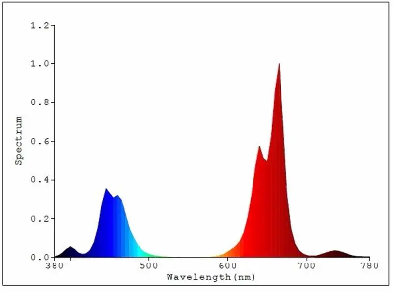 HTB1roWuNpXXXXabapXXq6xXFXXXV (1)