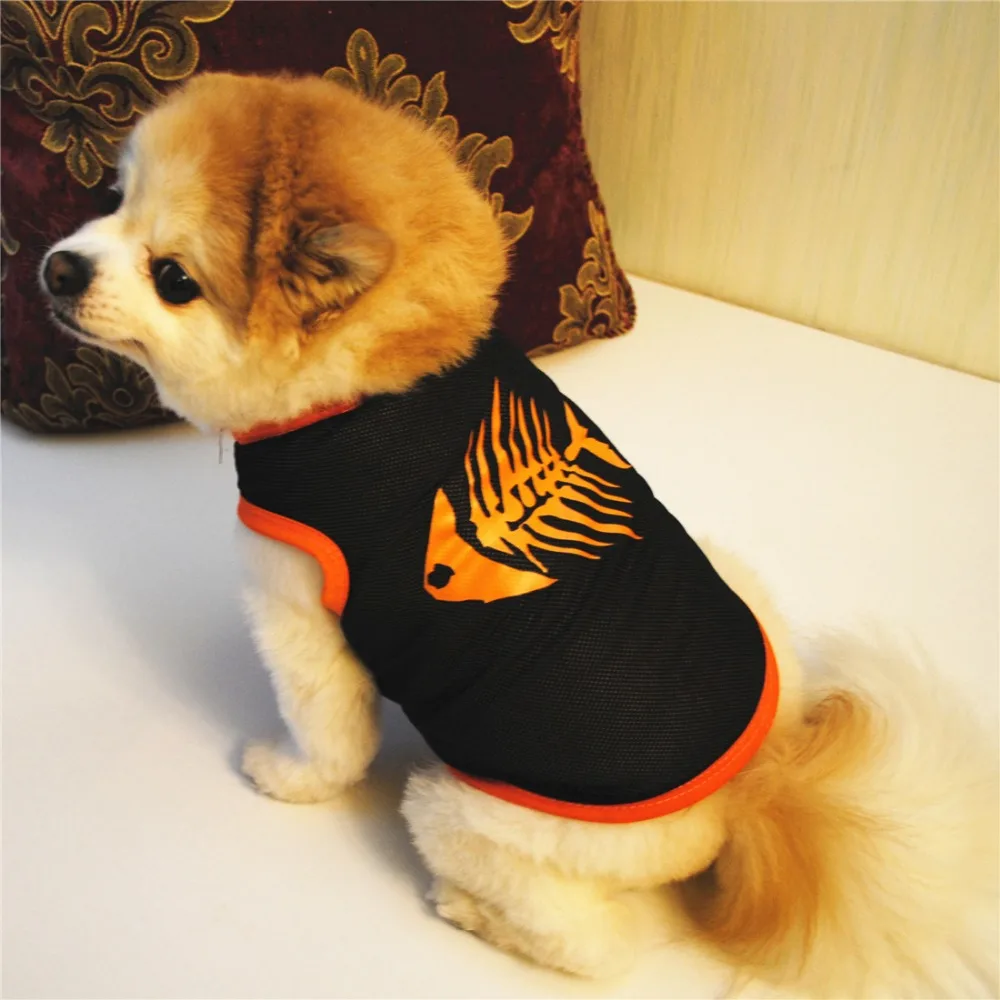 10776298892_361259826