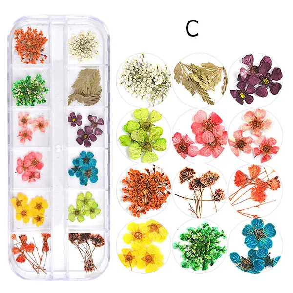 12 цветов 3d натуральный ромашка высушенный цветок для ногтей художественное украшение Гипсофилы консервированный сухой цветок DIY маникюр-наклейки для ногтей аксессуары - Цвет: C