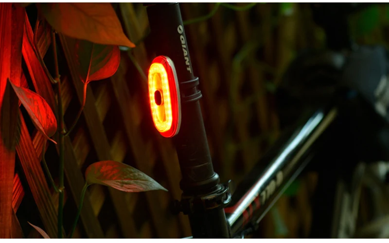 Discount Smart Taillight For Bicycle AUTO ON/OFF Brake Bike Bicycle Light USB Rechargeable LED Cycling Lamp Flashlight Bicycle Rear Light 17