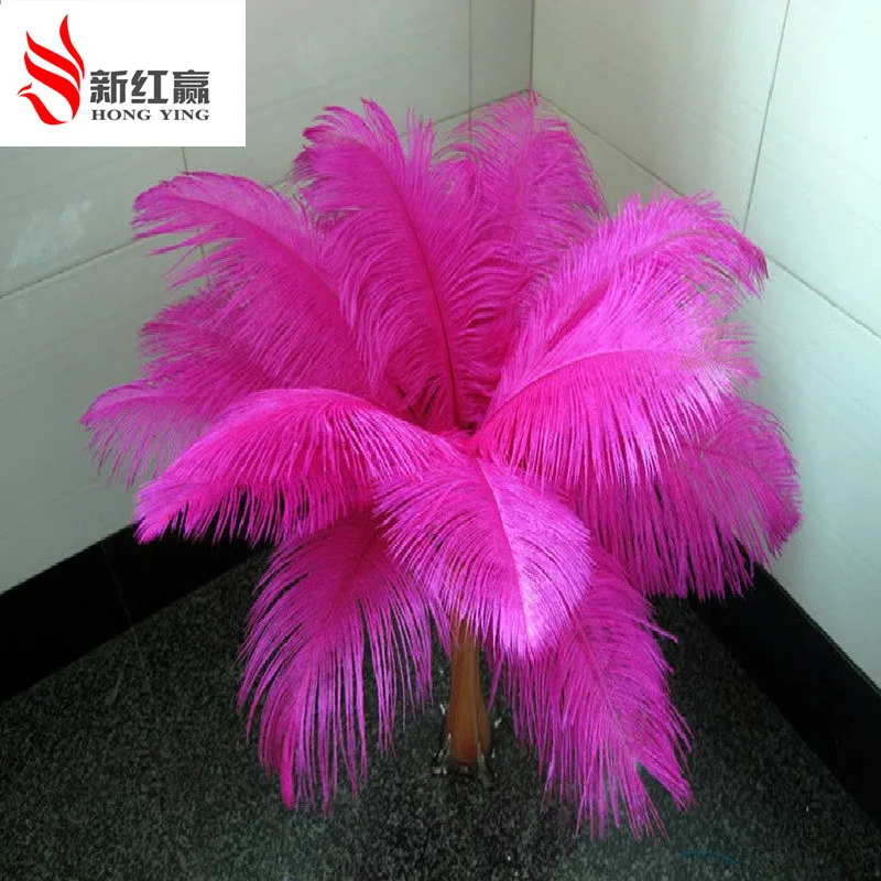 

Pluma de la avestruz Wholesale 10 pcs ostrich feathers 18-20inches/45-50cm long all sorts of color feather