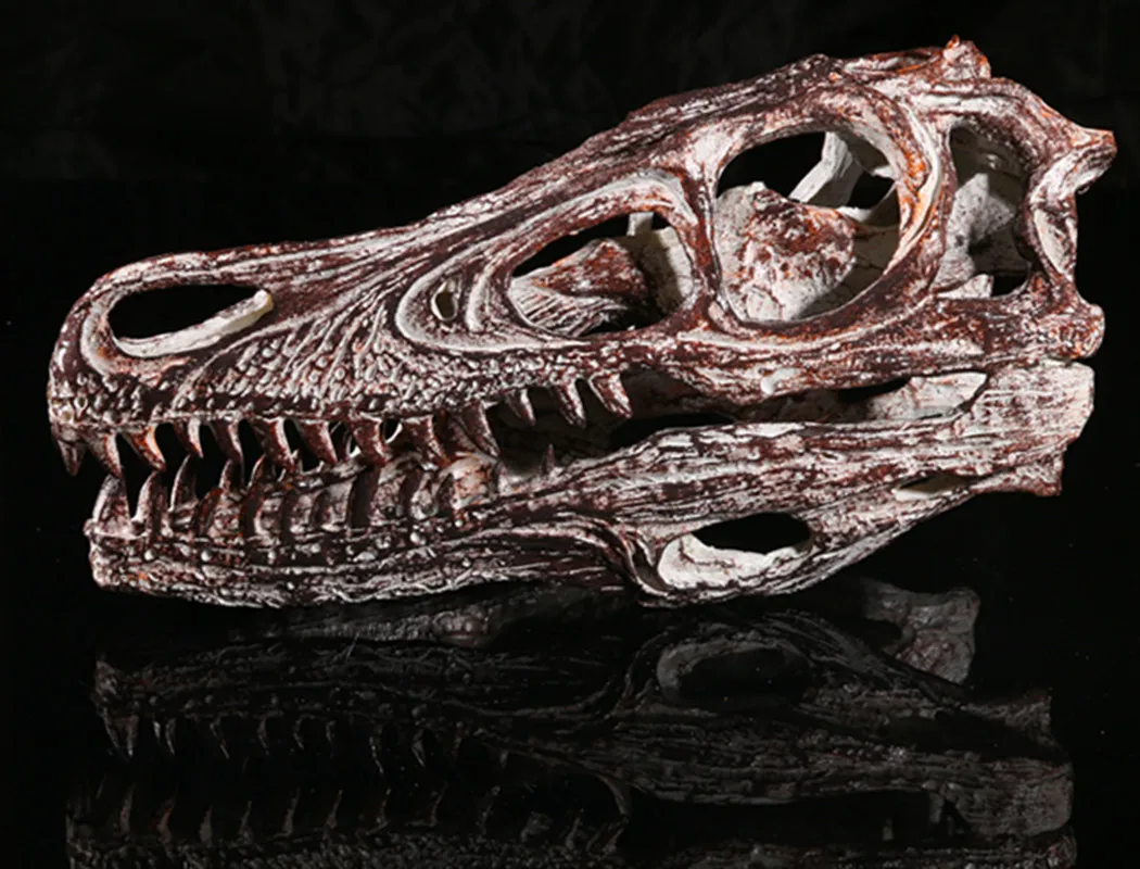 Velociraptor Skull Dinosaur Статуэтка из полистоуна модель 1/1 Fossil Resin череп динозавра|skull