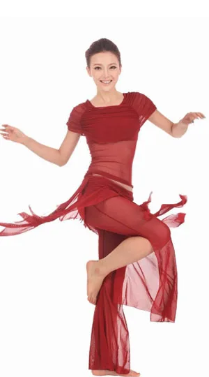 Сексуальный шелковый костюм для танца живота, 11 цветов - Цвет: red wine