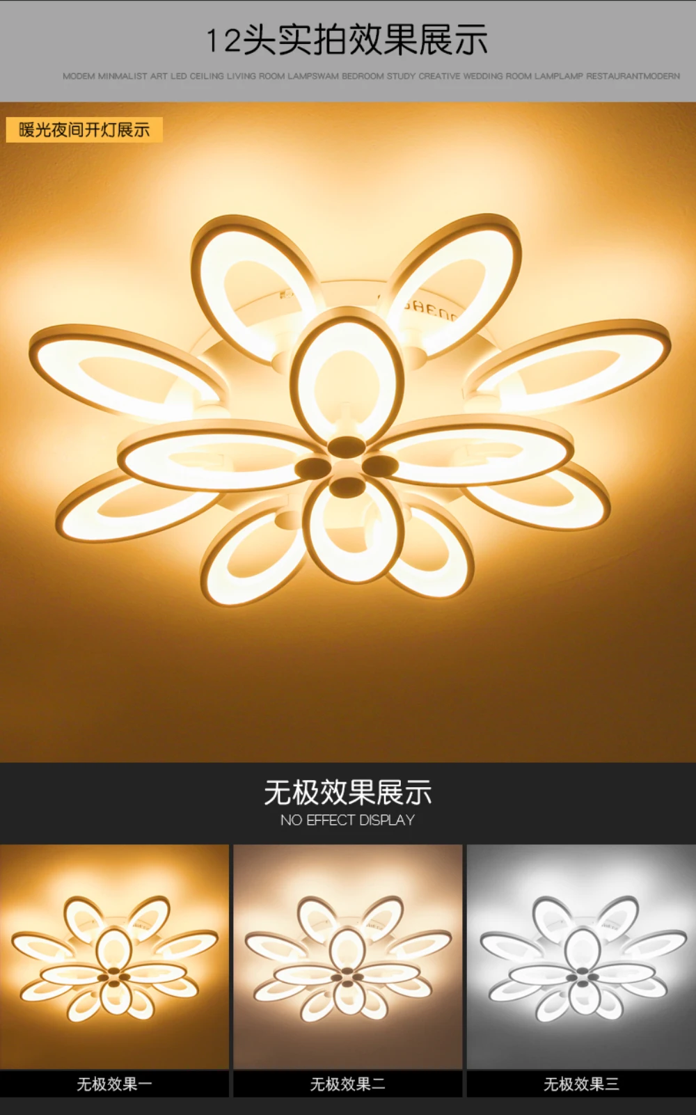 gorgeous ceiling light foyer-10