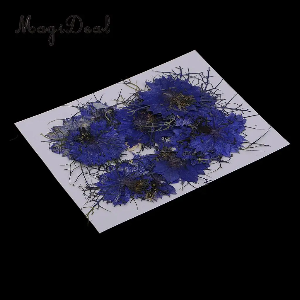 12pcs Love-in-a-mist Natural Pressed Real Dried Flower for Craft DIY Resin Ornaments