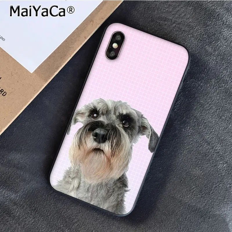 Lovely Dogs Schnauzer 