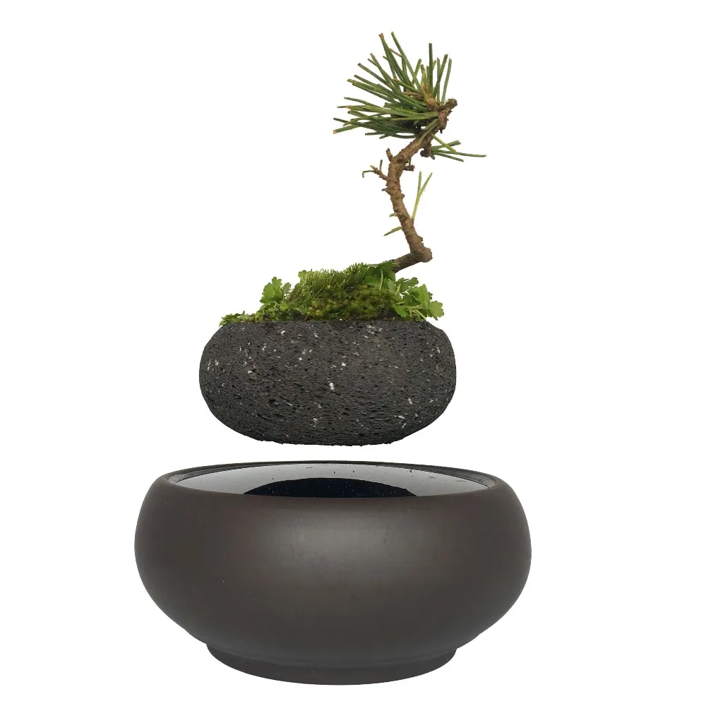 Aliexpress.com : Buy 2017 japan high tech magnetic levitating air bonsai floating Layer bonsai