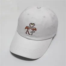 Модные Кепки Для женщин Бейсболки для женщин Snapback Moltres Вышивка хип-хоп Шляпы широкополые для женщин Регулируемый одноцветное бейсболка