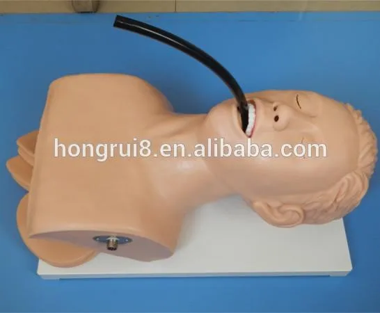 407 intubation training model 1